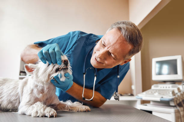 Best Dentist for Tooth Abscess  in Shady Point, OK